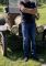 Maxsub (37+) - Submissive Hetero Male & Slave - Budapest - XVIII. kerület